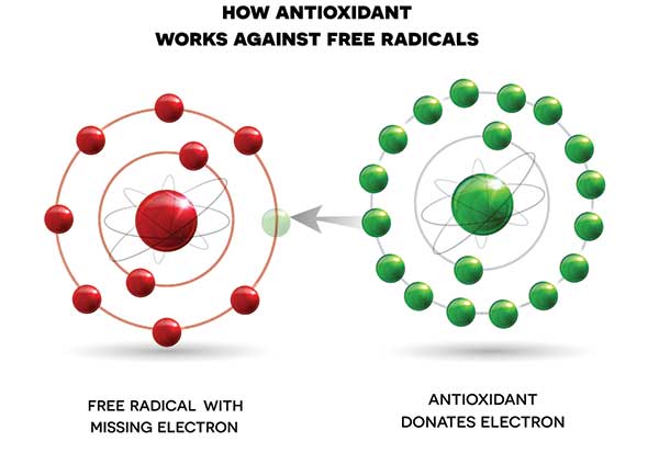 natural-fertility-diet-anti-oxidants